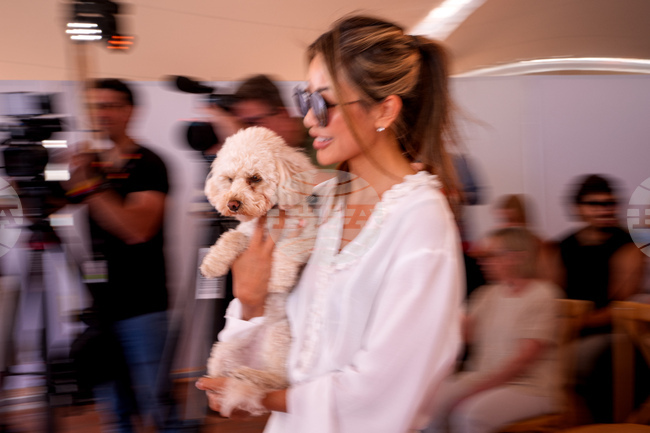 France Cannes 2026 Palm Dog
