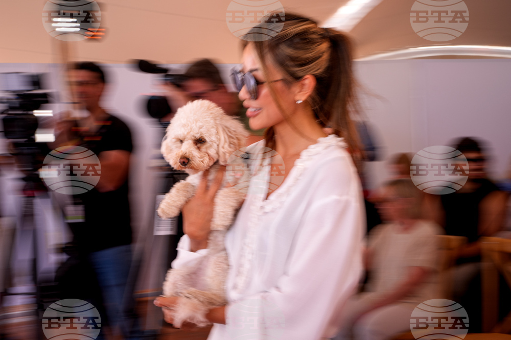 France Cannes 2026 Palm Dog