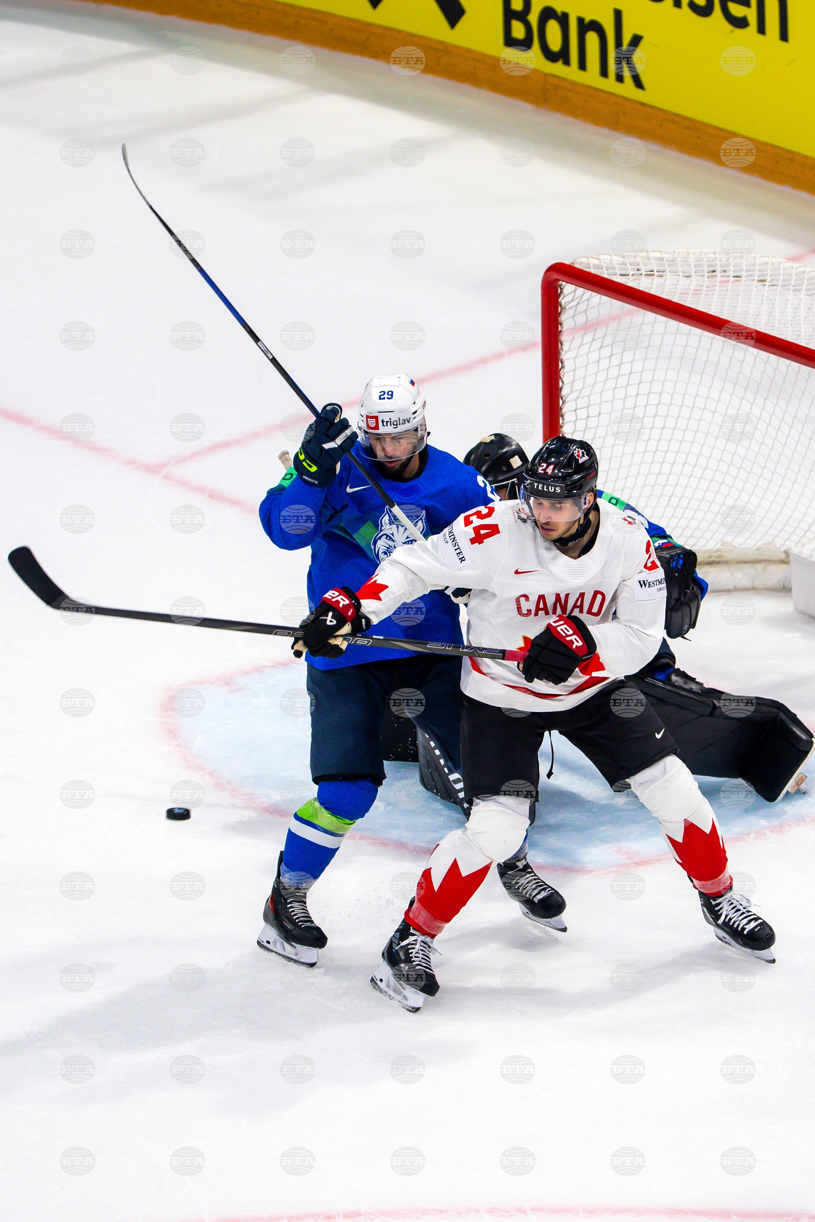 Switzerland World Championship Ice Hockey