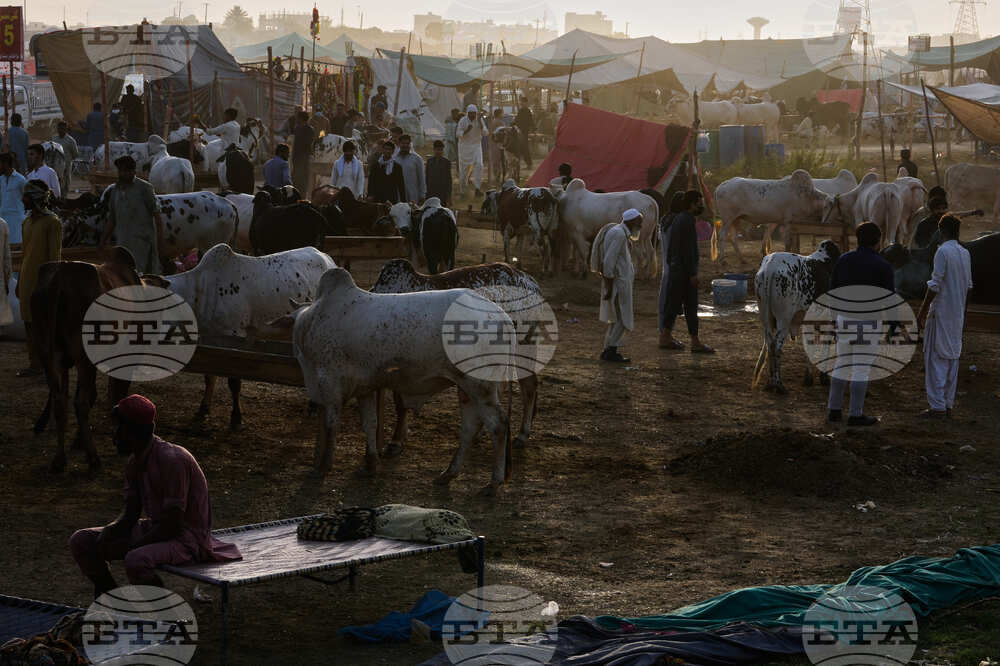 Pakistan Eid al-Adha