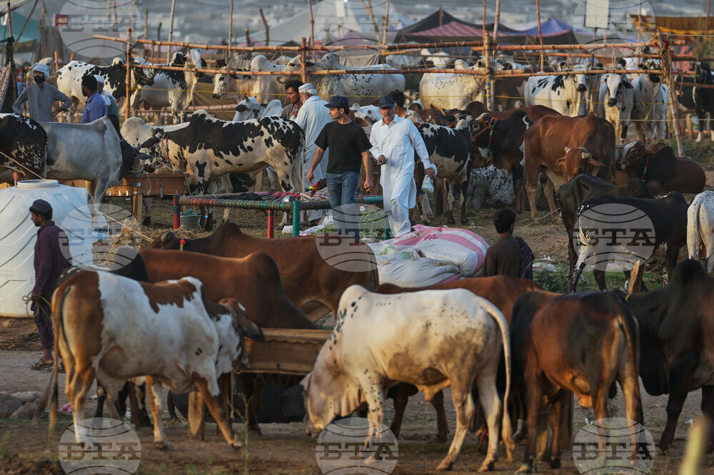 Pakistan Eid al-Adha