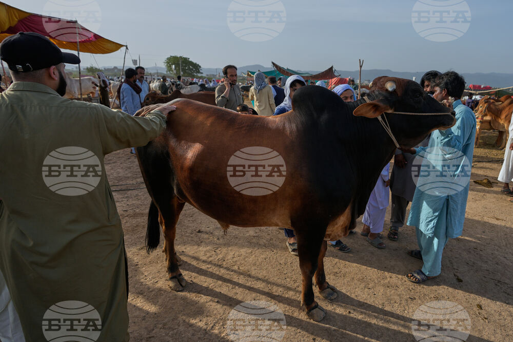 Pakistan Eid al-Adha