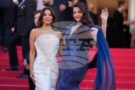 France Cannes 2026 The Birthday Party Red Carpet