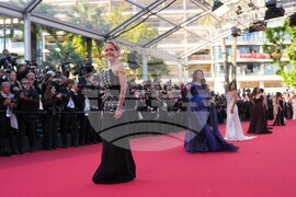 France Cannes 2026 The Birthday Party Red Carpet