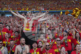 French Cup Final Soccer