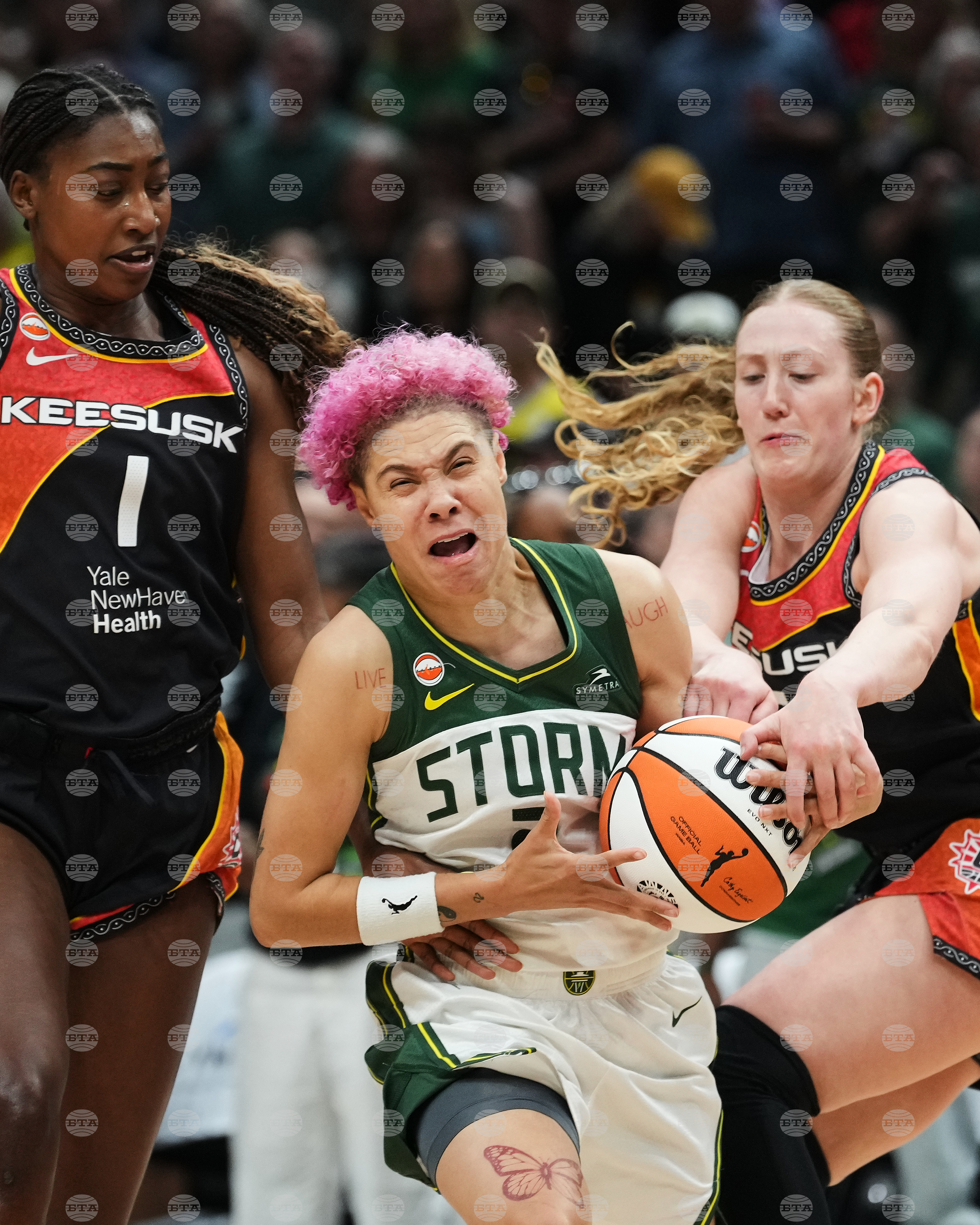 Sun Storm Basketball