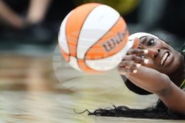 Sun Storm Basketball