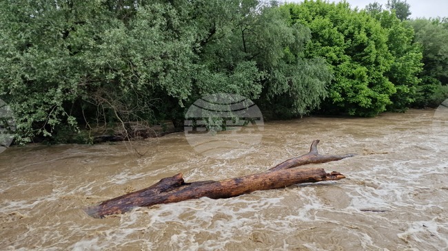Пожарникари и водолази спасиха влязло в реката 17-годишно момче във великотърновското село Шемшево