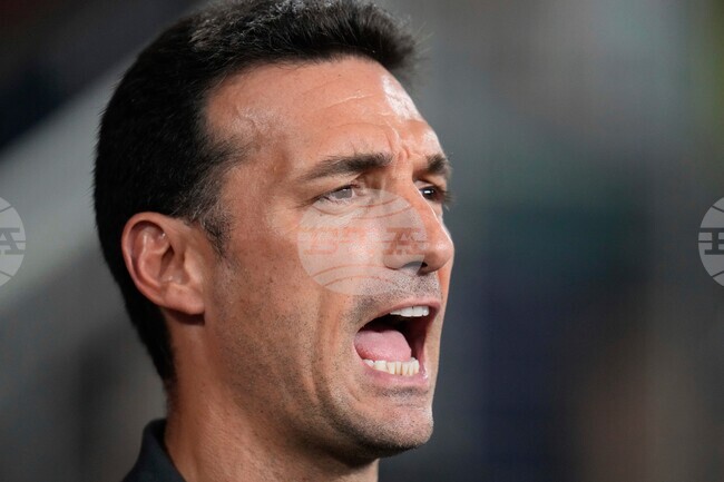 WCup Argentina Scaloni Soccer