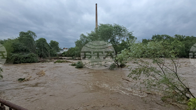 Agriculture and Food Ministry Offers Full Support to Farmers Affected by Floods