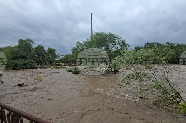 Agriculture and Food Ministry Offers Full Support to Farmers Affected by Floods