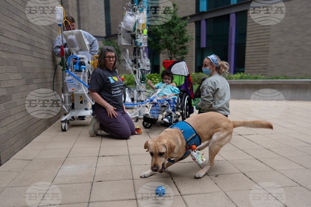 Children's Hospitals Dogs