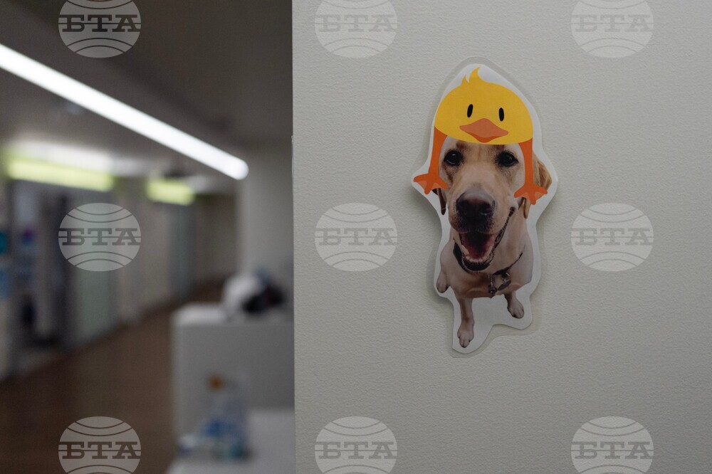 Children's Hospitals Dogs