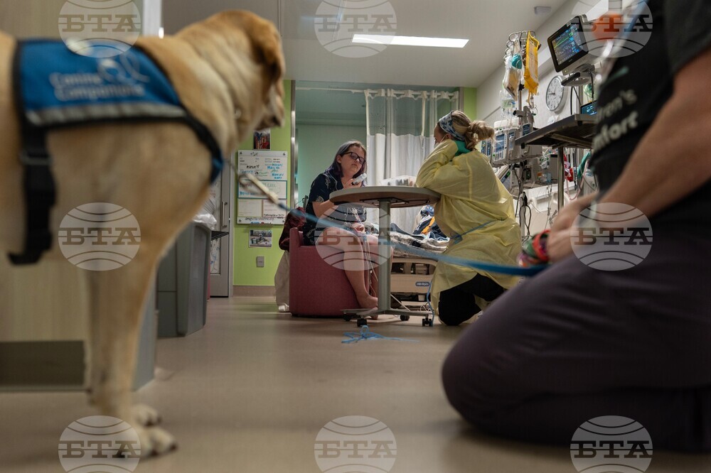 Children's Hospitals Dogs