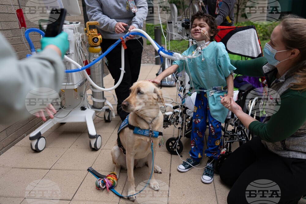 Children's Hospitals Dogs