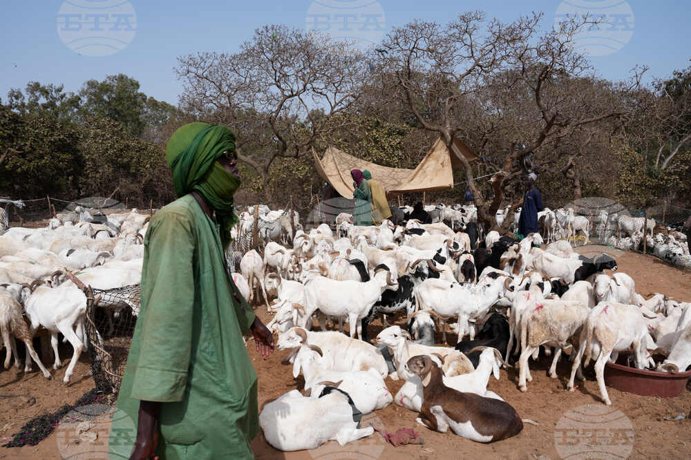 Senegal Tabaski