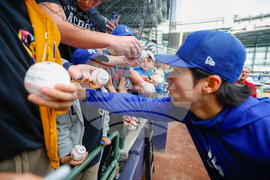 Dodgers Brewers Baseball
