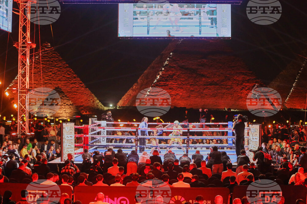 Egypt Hiruta Soliman Boxing