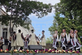 Видин - 24 май - честване
