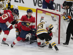 Bruins Panthers Hockey