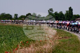 Italy Giro d'Italia Cycling