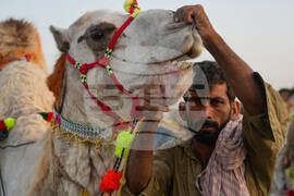 Pakistan Eid al-Adha