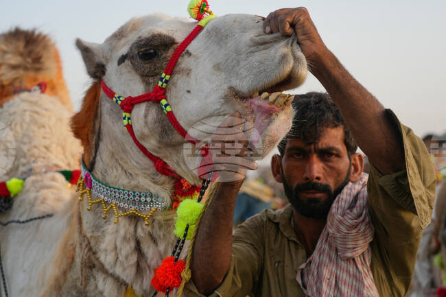 Pakistan Eid al-Adha