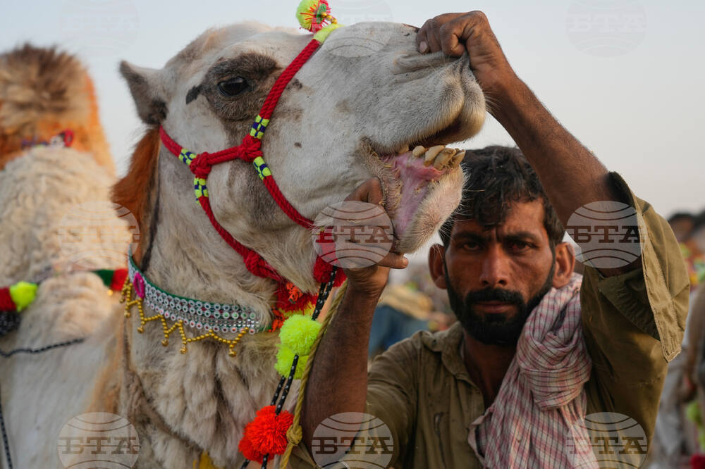 Pakistan Eid al-Adha