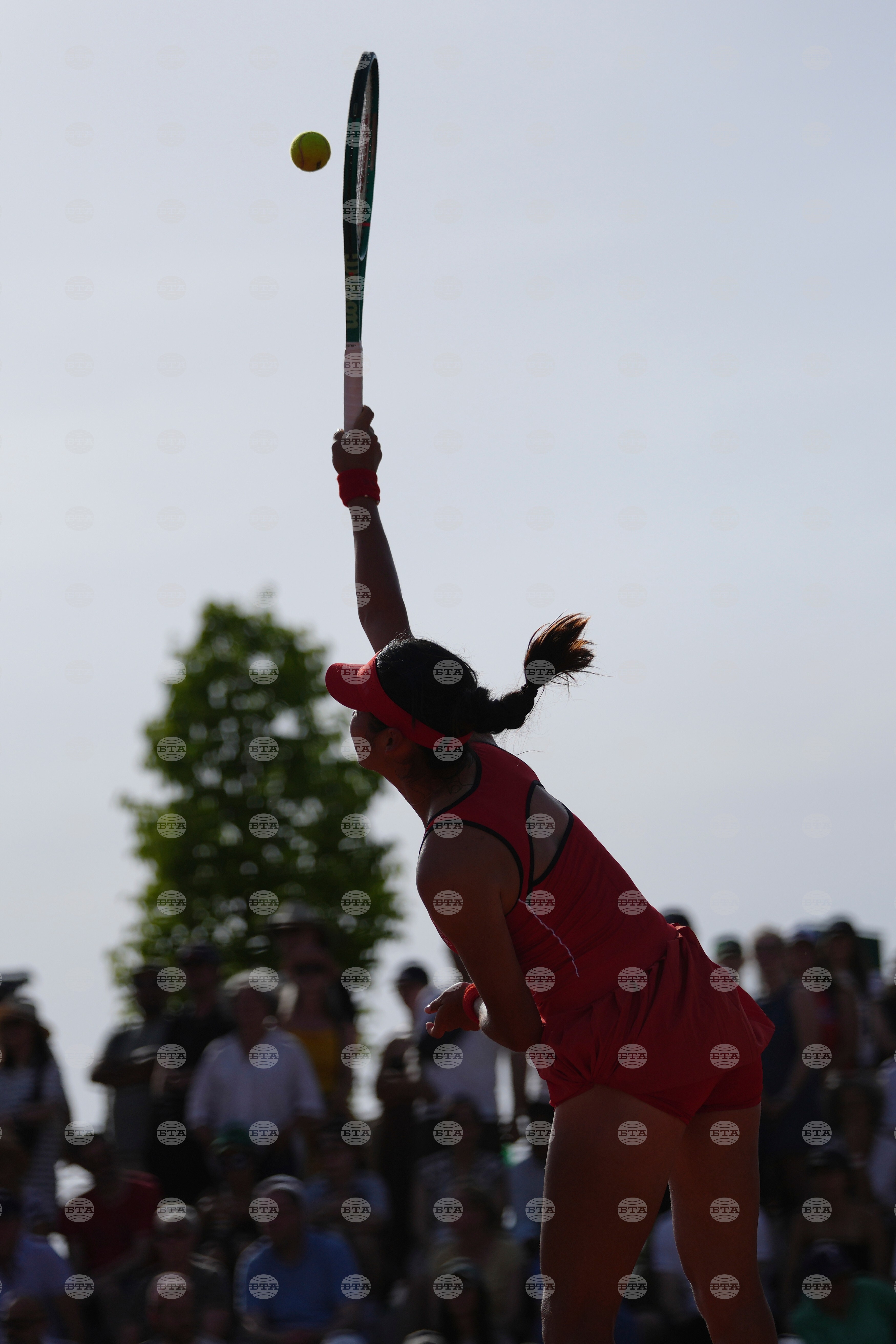 French Open Tennis
