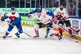 Switzerland World Championship Ice Hockey
