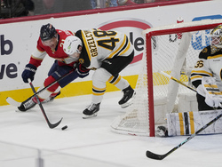Bruins Panthers Hockey