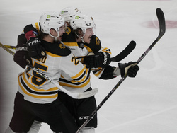 Bruins Panthers Hockey