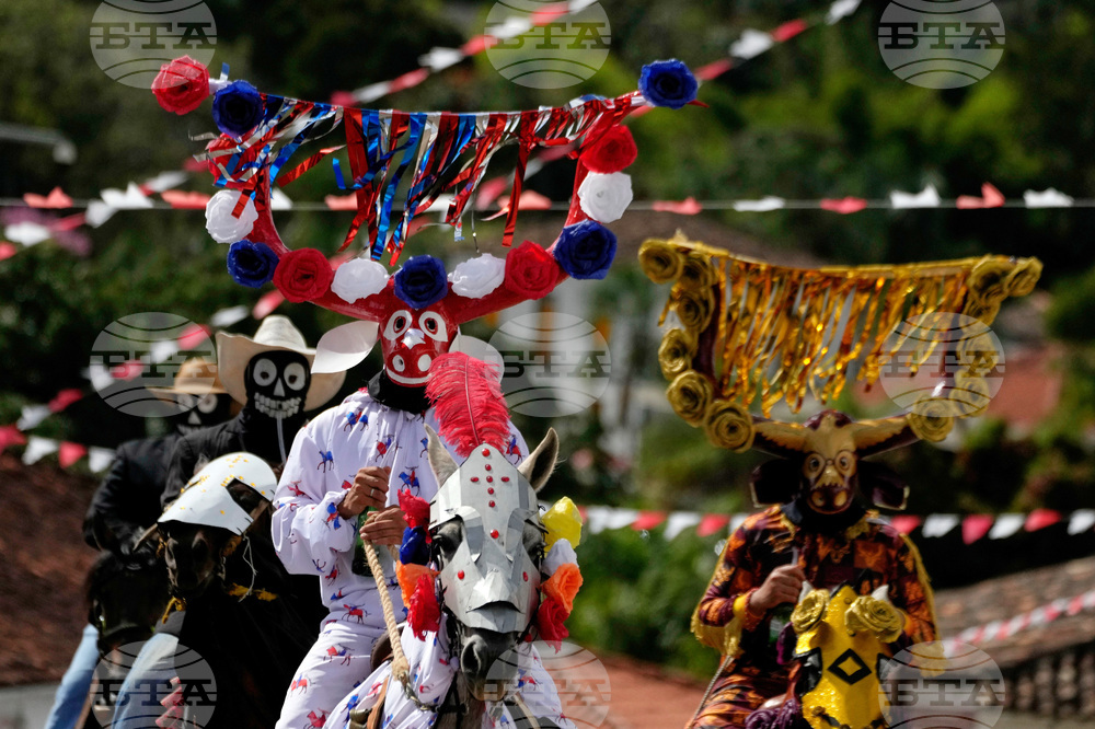 Brazil Festival