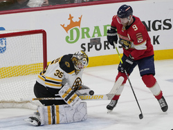 Bruins Panthers Hockey