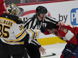 Bruins Panthers Hockey