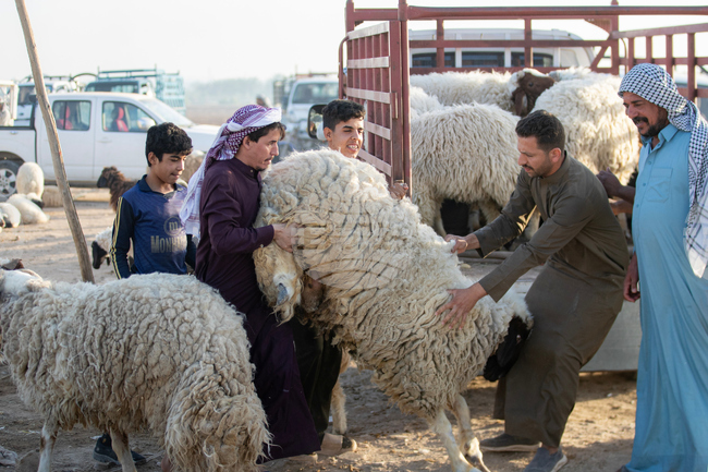Iraq Eid al-Adha