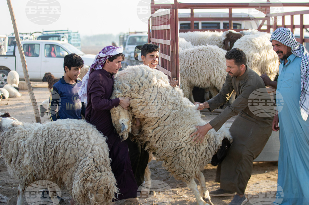 Iraq Eid al-Adha