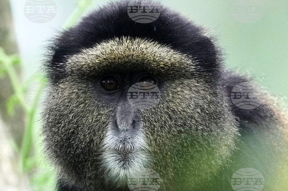 Rwanda Environmental DNA