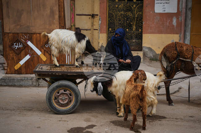 APTOPIX Israel Palestinians Eid al-Adha
