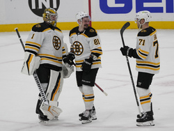 Bruins Panthers Hockey
