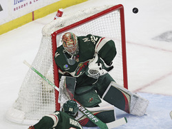 Dallas Wild Hockey