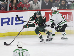 Dallas Wild Hockey