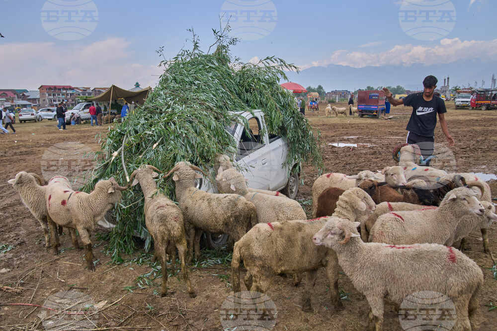 India Kashmir Eid al-Adha