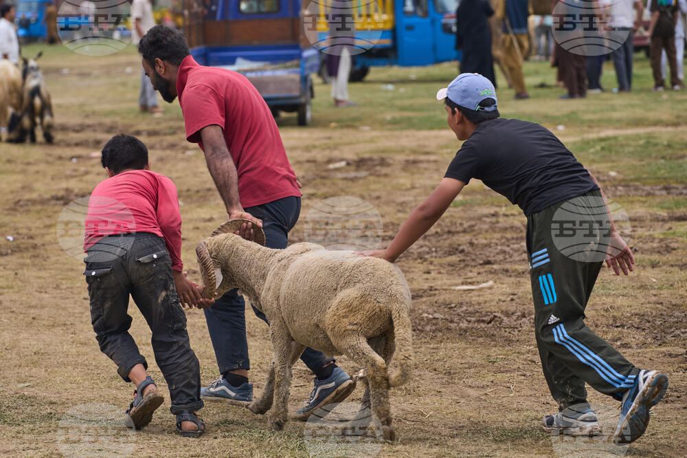 India Kashmir Eid al-Adha