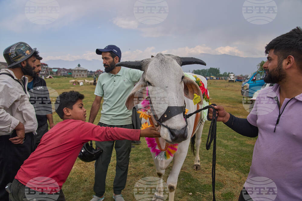 India Kashmir Eid al-Adha