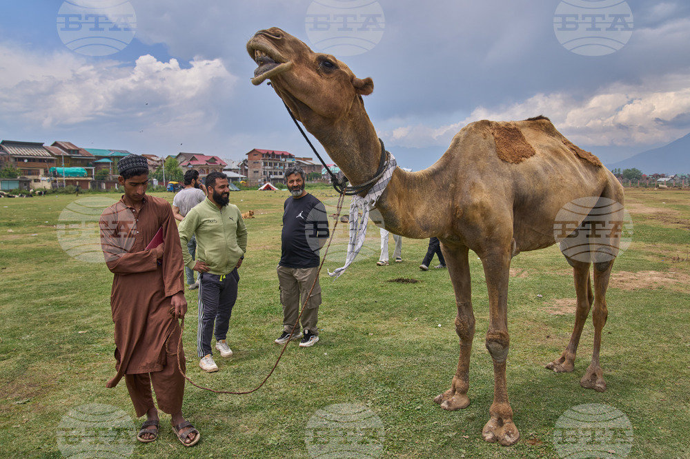 India Kashmir Eid al-Adha
