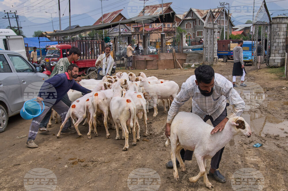 India Kashmir Eid al-Adha