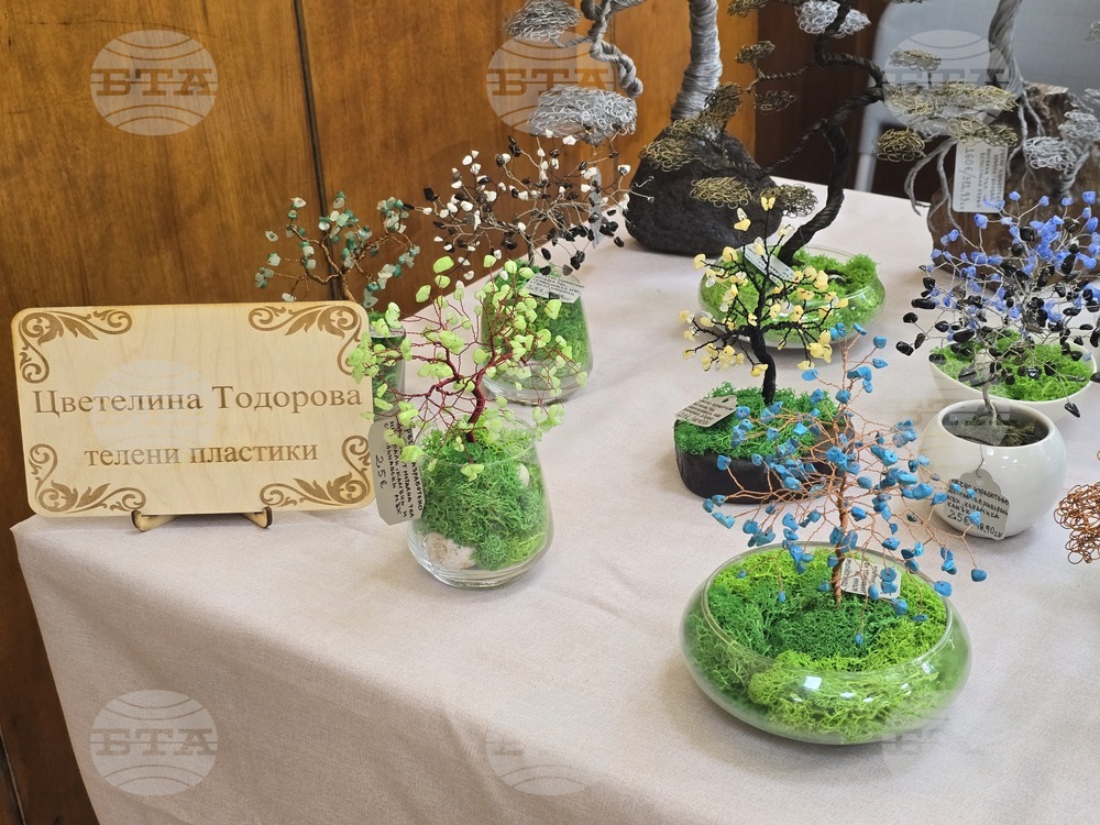 Тетевен - училище - изложба-базар