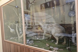 Тетевен - училище - изложба-базар