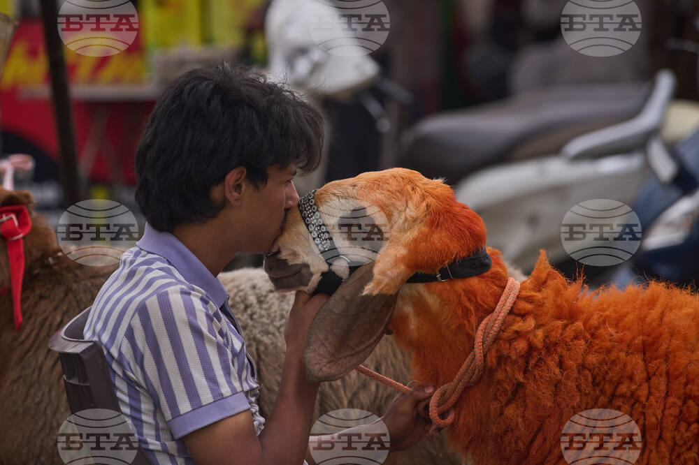 APTOPIX India Kashmir Eid al-Adha